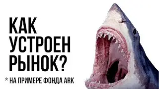 ФОНДОВЫЙ РЫНОК | Как работает фондовый рынок на примере фонда ARKK