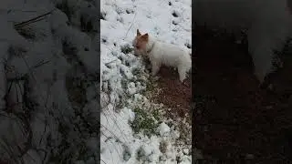 Красотка 🥰😅 