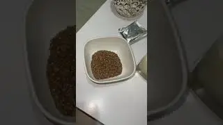 Pudin con Chia