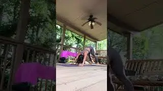 Dive Bombers or Vinyasa Push-ups