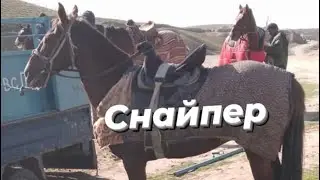 Бузкаши н.Данғара 25.04.2024 Баромади Раҷабали човандоз бо аспи д.Ҷорубқул аспи Акои Насим “Снайпер