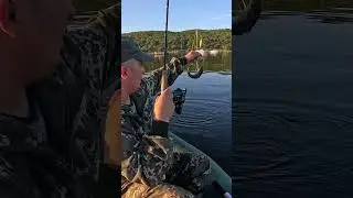 Крупная, но не наша рыба #рыбалка #fishingbait #fishinglure