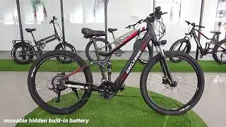 YS90 DAYLYRIDE Antelope