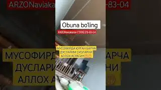 (995) 313-83-04 aviakassa 