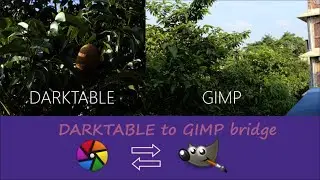 GIMP TO DARKTABLE BRIDGE how to import .cr2/raw image into GIMP.