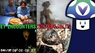 Vinny - ET Encounters & Mystery Meats