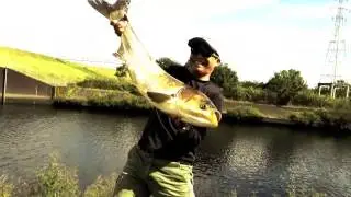 MARUKYU   Float fishing (Big Head)