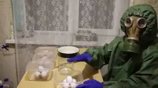 Как сделать гомункула 3