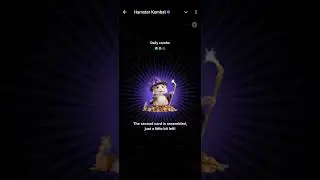 1 September Hamster Kombat Daily Combo | Combo Card Hamster Kombat 1 September