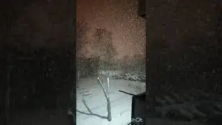 снег-зима-Сибирь