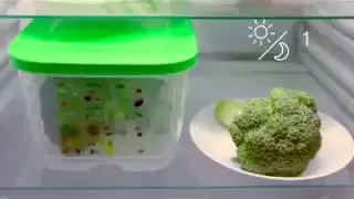 Контейнер Умный холодильник Tupperware