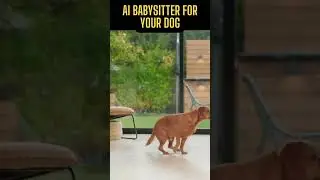 😱🐾An AI babysitter for your dog #shorts