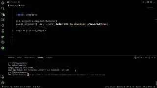 Parsing arguments in python