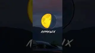🌔Проверка деталей в ГТА 5 №19 #shorts #gta #gta5 #юмор