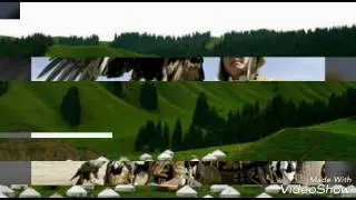 кыргызстан самый красивый места