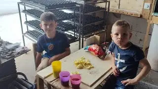 Дегидратор. Вялим бананы целиком