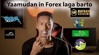 Dhibka ay Gaysteen Dadka Forex dhiga BIlaw illaa dhmaad| All Somali academy