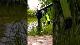 Beautiful alarm!!! #carpfishing #bigfish #fishing