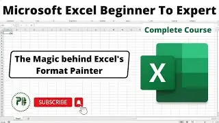 How Does Excel's Format Painter Work? | What is Excel's Format Painter? 