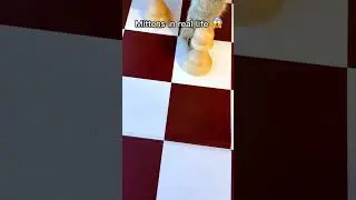 Реакция на Mittens любого здравомыслящего шахматиста: 