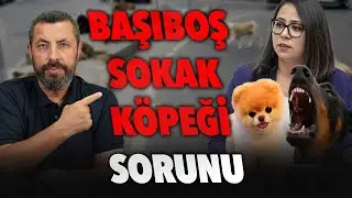 MAMA LOBİSİ VE ONLARIN YANDAŞLARININ AMACI NE? | Ahmet Anapalı