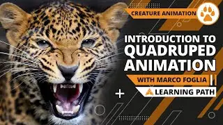 Intro To Quadruped Animation Course