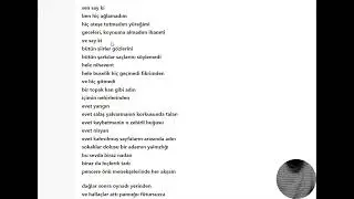 şiir 28