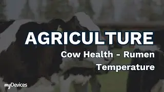 Agriculture - Cow Health: Rumen Temperature