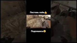Мармок гонится за грабителем в Dying Light 2 😂 #shorts #shortsvideo #мармок #приколы #подпишись