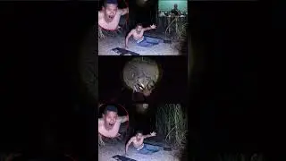 المقاطع المليونية/ظهور الزومبي👹