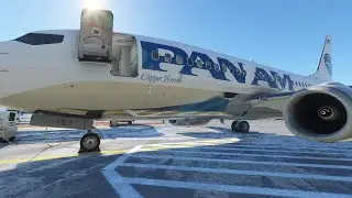 PMDG 737  CUSTOM PAN AM LIVERY |  MSFS