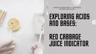 Natural Indicators - Red Cabbage Juice pH Scale in Grade 10 Science