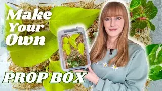 Easy Way To Propagate Your Houseplants - Propagation Box!