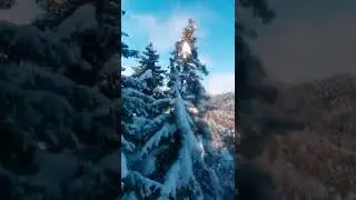 23 января 2022 г.