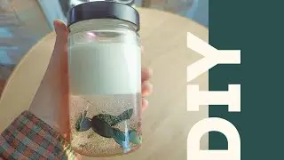 Ботаническая свеча с гелем