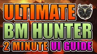 BM HUNTER | ULTIMATE UI GUIDE | WOW 9.2.5 | SALTII USER INTERFACE