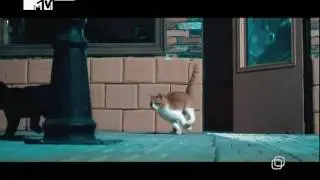 МакSим - Весна