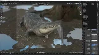 Timsah SpeedArt