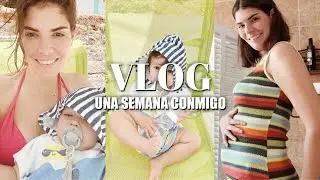 ANUNCIO SEXO y NOMBRE del BEBÉ  + NOVEDADES + VUELVEN los VLOGS | VLOG SEMANAL 48