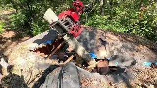 This tree tore this house up
