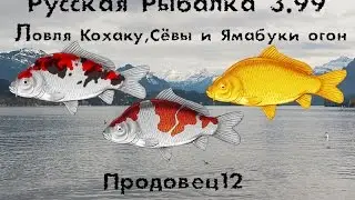 Русская рыбалка 3.99 Где быстро поймать Кохаку , Сёву и Ямабуки огон