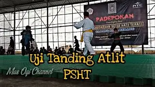 Uji Tanding Atlit PSHT || pencak silat anak-anak