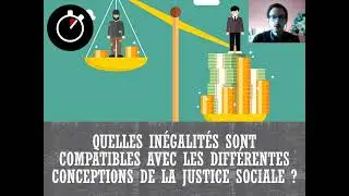 [Bac SES] Inégalités et Justice sociale ... En 5 minutes !