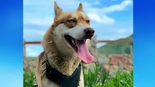 J  E  Y  K  O