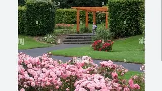 🌹Rose garden Dublin