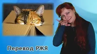 Почему котам нравятся коробки? (перевод РЖЯ)