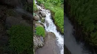 ЖИВАЯ ПРИРОДА | ТАВИЛДАРА