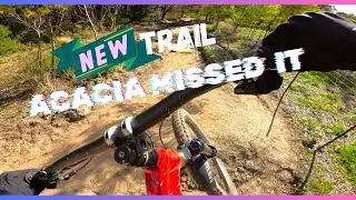 Mill Creek's new trail 'Acacia Missed It'