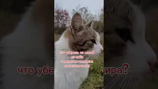 8 октября 2024 г.