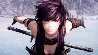 Skyrim Mod: GP Followers 